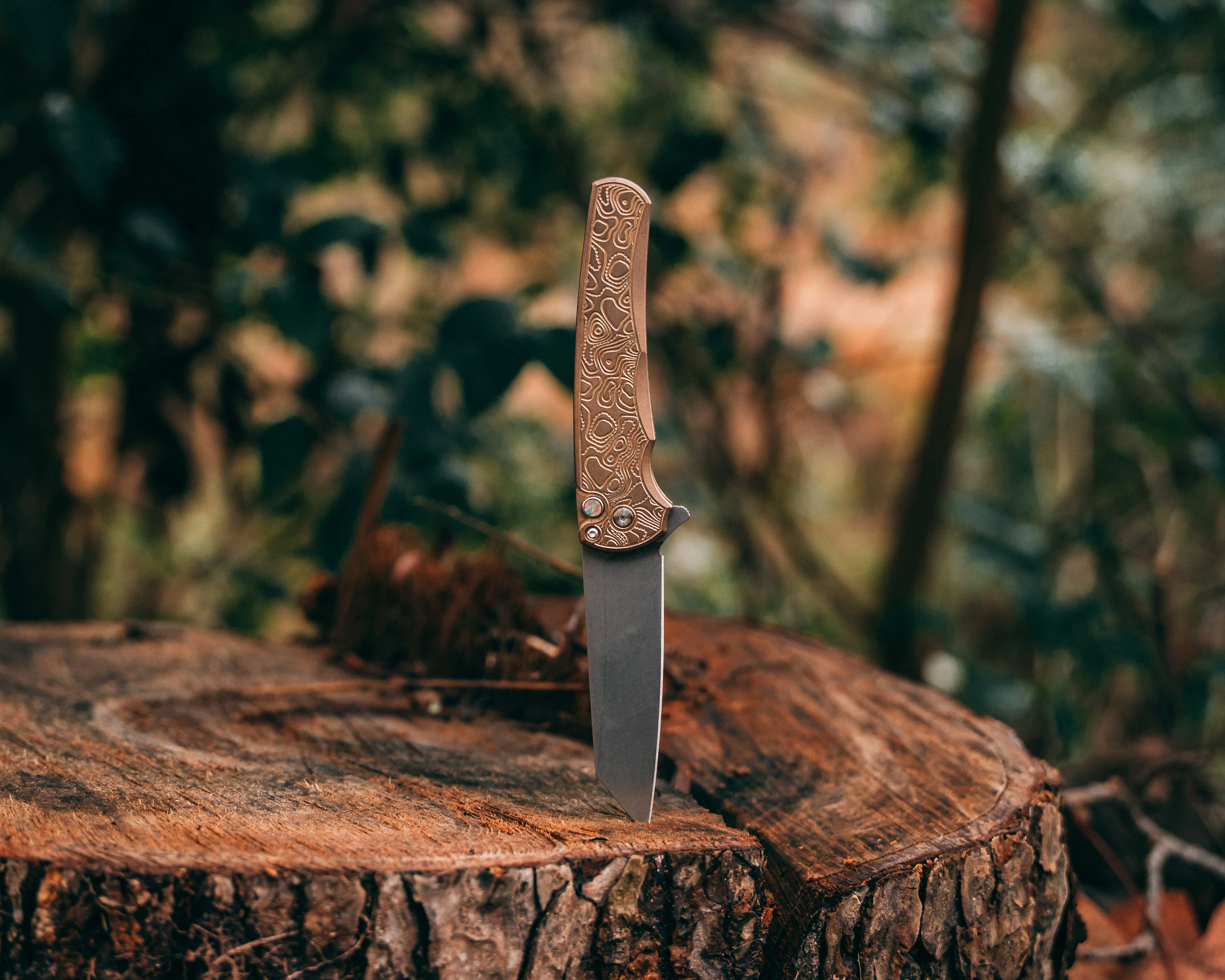 CC X Pro-Tech Malibu Topo - Image 42
