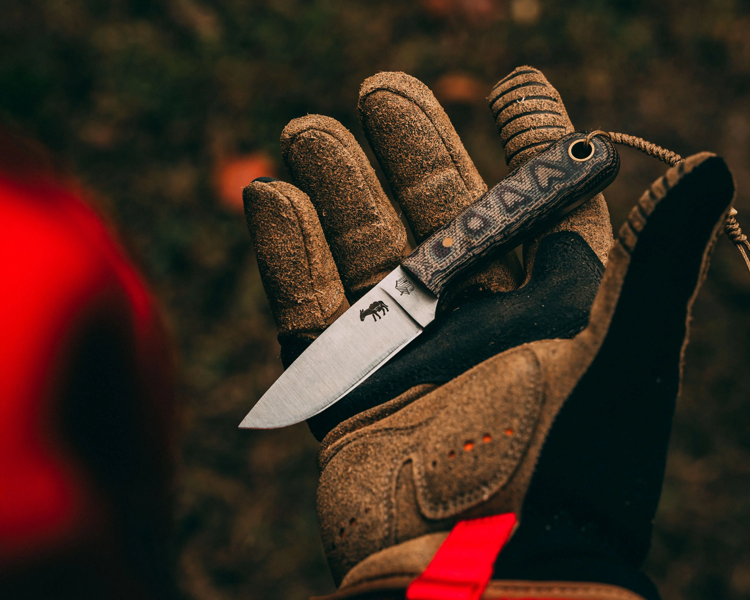 CC Frontier First - Image 10