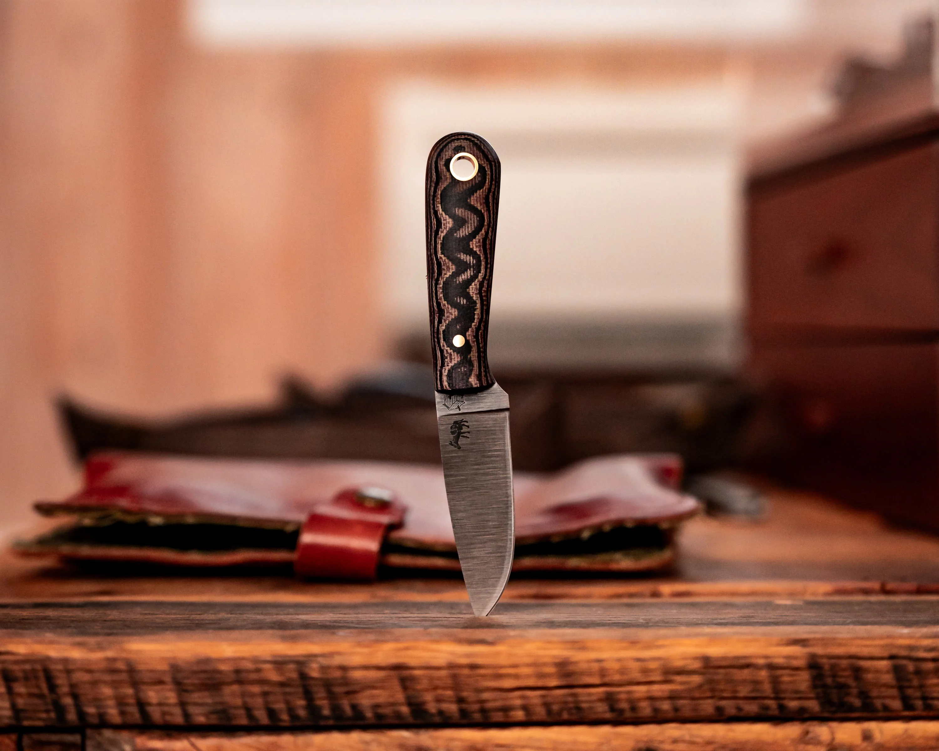 CC Frontier First - Image 17