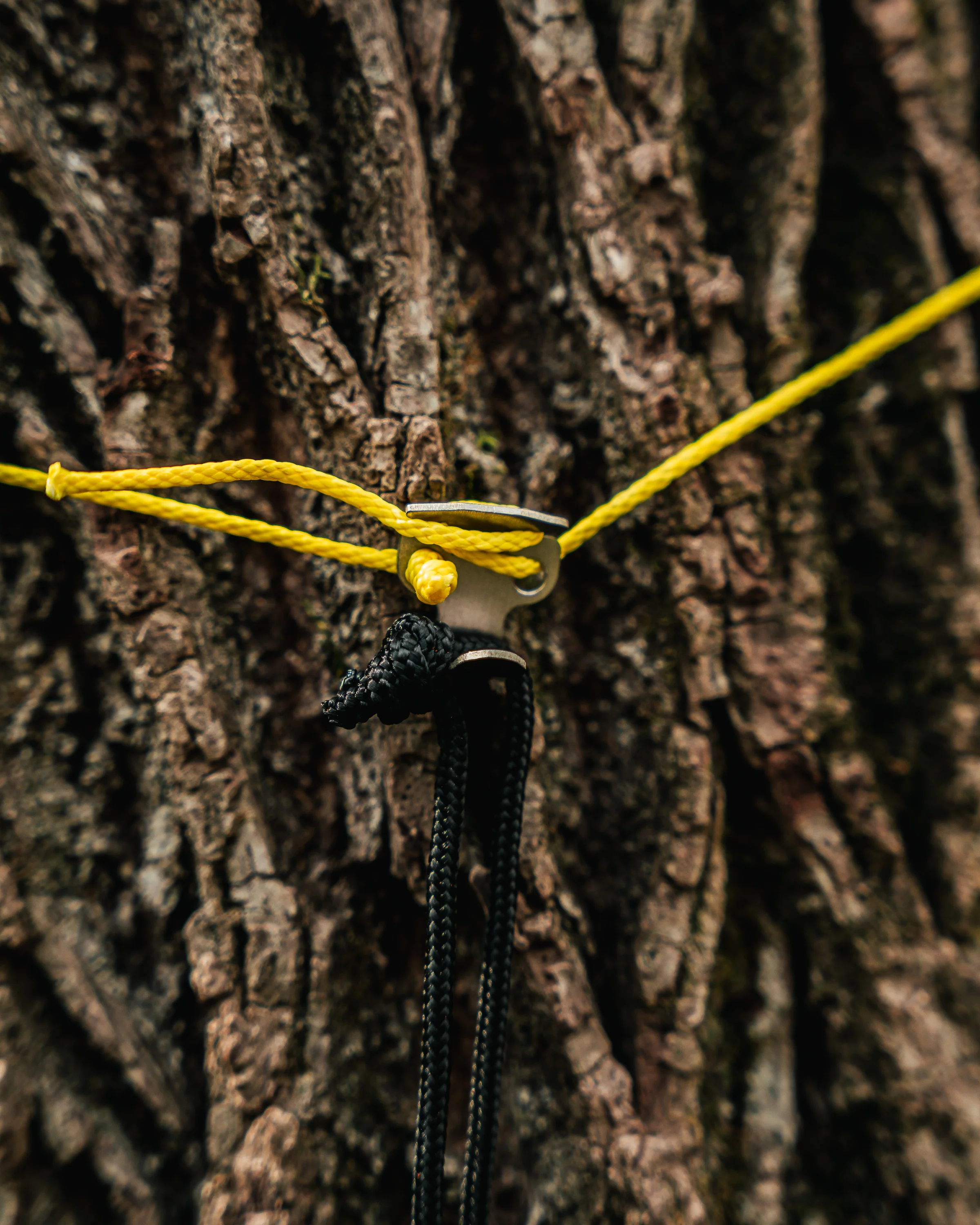 BEW Twig Saver Gear Hook — Titanium Camp Hook with UHMWPE Cordage - Image 3